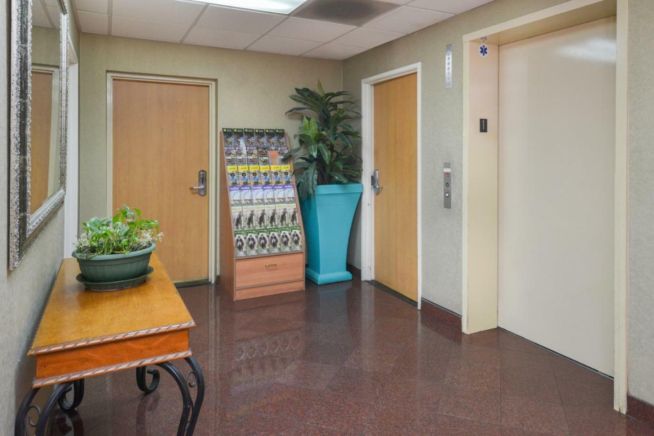 H3 Inn & Suites - Lax Airport - Los Angeles Inglewood Ngoại thất bức ảnh
